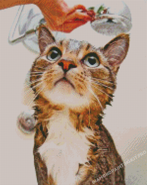 Cute Cat Shower Diamond Painting