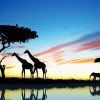 Elephant And Giraffes Lake Reflection Silhouette Diamond Painting