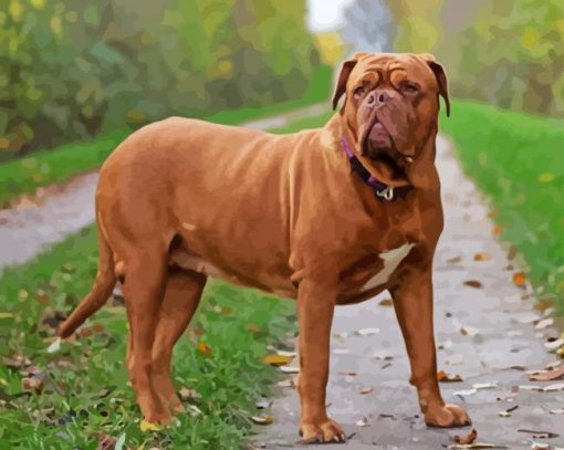 French Mastiff Diamond Painting