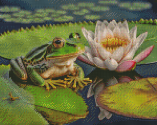 Frog On Lily Pad Flower Diamond Painting