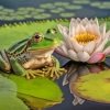 Frog On Lily Pad Flower Diamond Painting