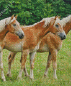 Haflinger Horses Diamond Painting