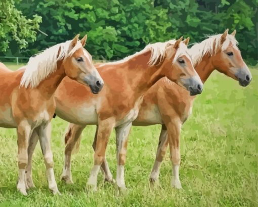 Haflinger Horses Diamond Painting