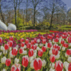 Keukenhof Garden Diamond Paintings