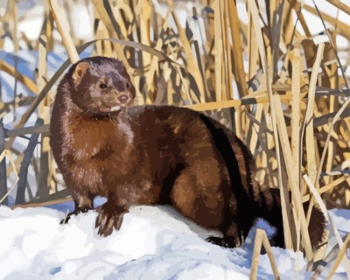 Mink Animal In Snow Diamond Painting