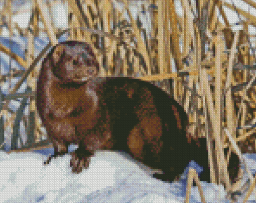 Mink Animal In Snow Diamond Painting