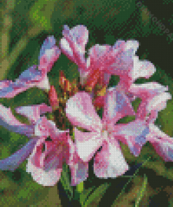 Oleanders Diamond Painting