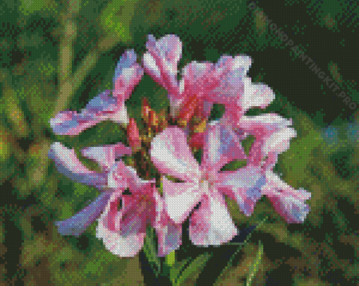 Oleanders Diamond Painting