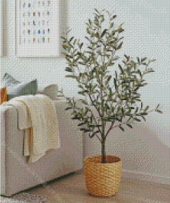Olive Tree In Pot Diamond Paintings