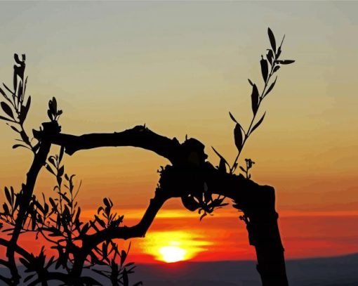 Olive Tree silhouette At Sunset Diamond Painting