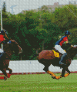 Polo Women players and Horses Diamond Paintings