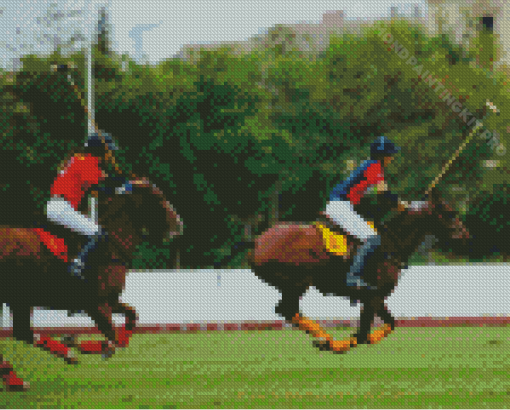 Polo Women players and Horses Diamond Paintings