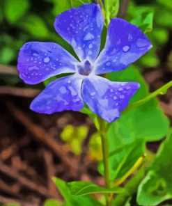 Purple Periwinkle Flower Diamond Painting