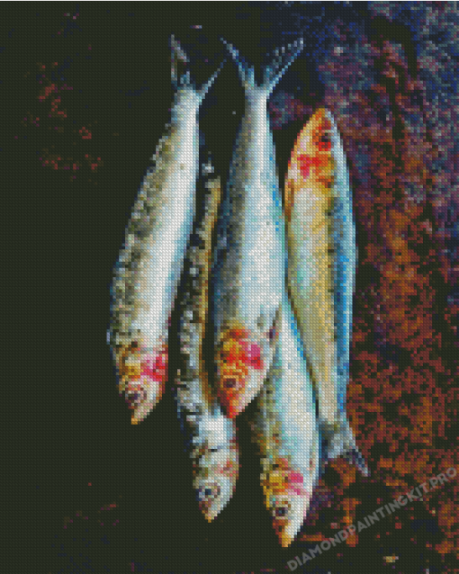 Sardines Fish Diamond Painting