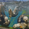 Sea Otter In Monterey Bay Aquarium Diamond Painting