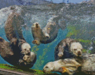 Sea Otter In Monterey Bay Aquarium Diamond Painting