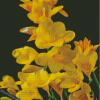 Spring Yellow Blossom Diamond Painting