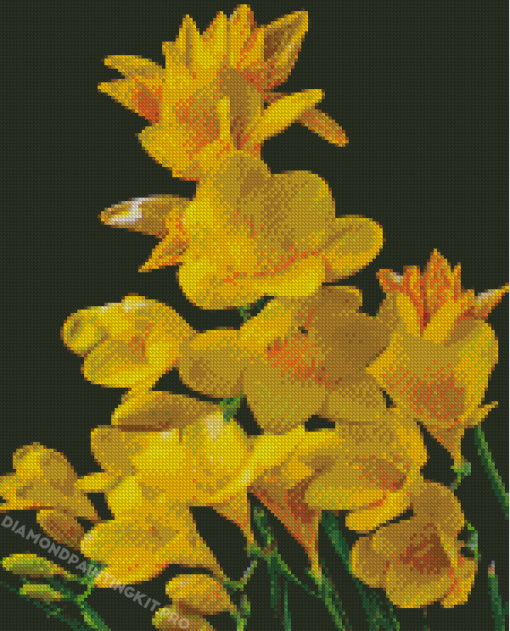 Spring Yellow Blossom Diamond Painting