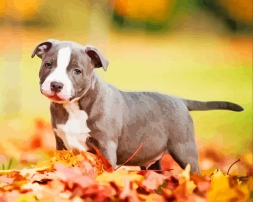 Staffordshire Bull Terrier Diamond Painting