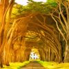 Tree Tunnel Diamond Painting