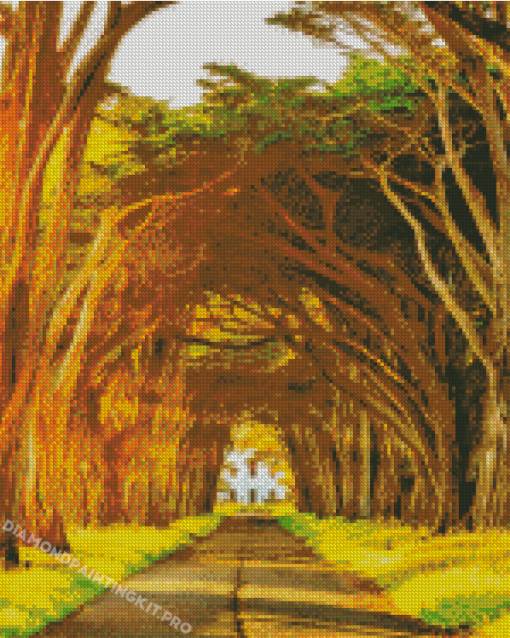 Tree Tunnel Diamond Painting