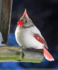 White Cardinal Diamond Painting