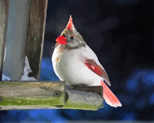 White Cardinal Diamond Painting