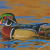 Wood Duck Side View Diamond Painting