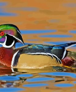 Wood Duck Side View Diamond Painting