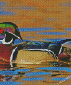 Wood Duck Side View Diamond Painting