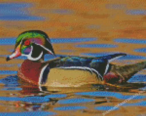 Wood Duck Side View Diamond Painting