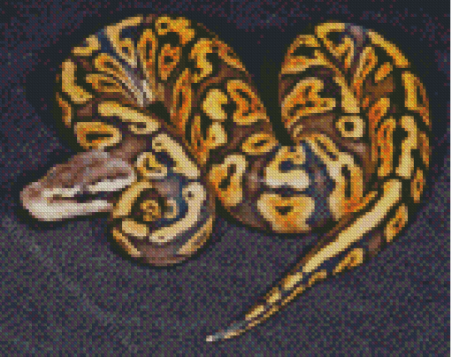 Yellow Black Ball Python Diamond Painting