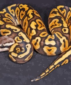 Yellow Black Ball Python Diamond Painting