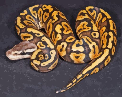 Yellow Black Ball Python Diamond Painting