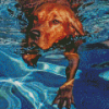 Brown Dog In Water Diamond Painting
