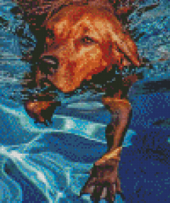 Brown Dog In Water Diamond Painting