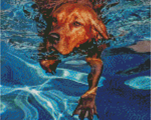 Brown Dog In Water Diamond Painting