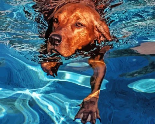 Brown Dog In Water Diamond Painting