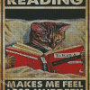 Cat and Book Diamond Painting