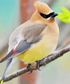 Cedar Waxwing On a Branch Diamond Painting