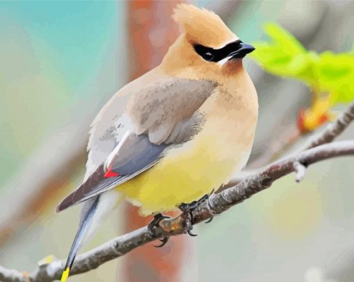 Cedar Waxwing On a Branch Diamond Painting