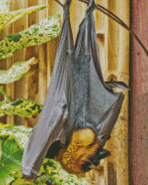 Giant Golden Crowned Flying Fox Bat Diamond Painting