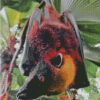 Giant Golden Crowned Flying Fox Diamond Painting