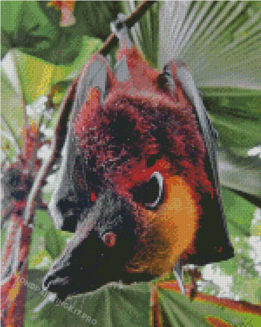 Giant Golden Crowned Flying Fox Diamond Painting