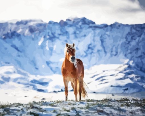 Horse Snow Diamond Painting