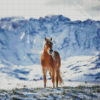 Horse Snow Diamond Painting