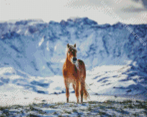 Horse Snow Diamond Painting