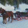 Horses With Sleigh Diamond Painting