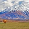 Snowy Mountains Edoras Diamond Painting