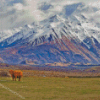 Snowy Mountains Edoras Diamond Painting